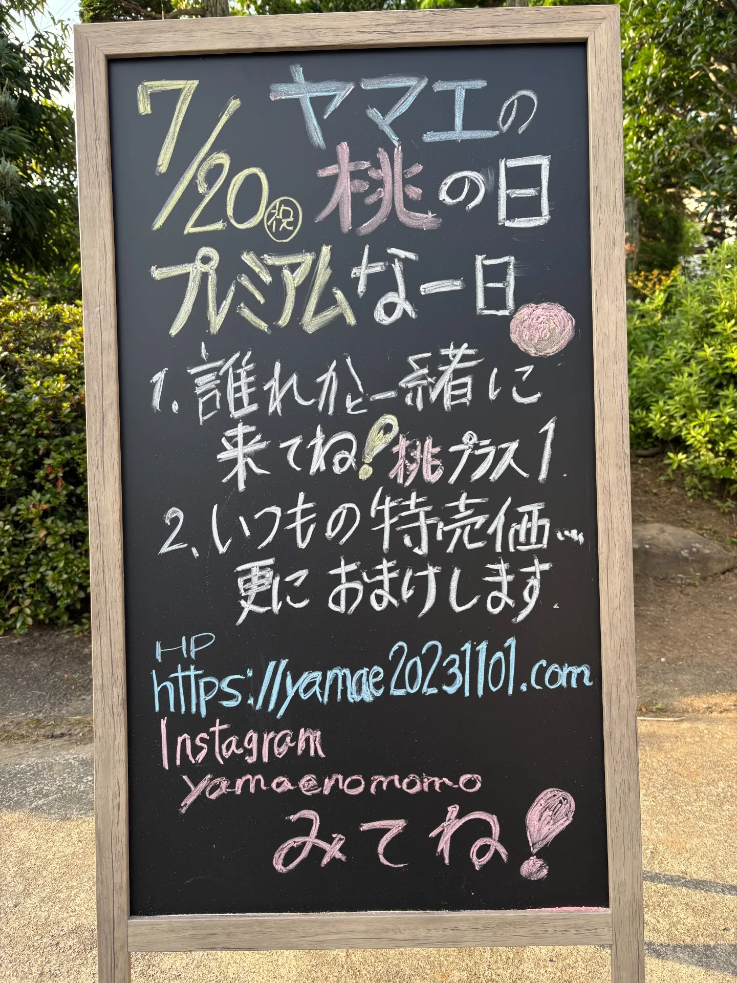 桃2026'